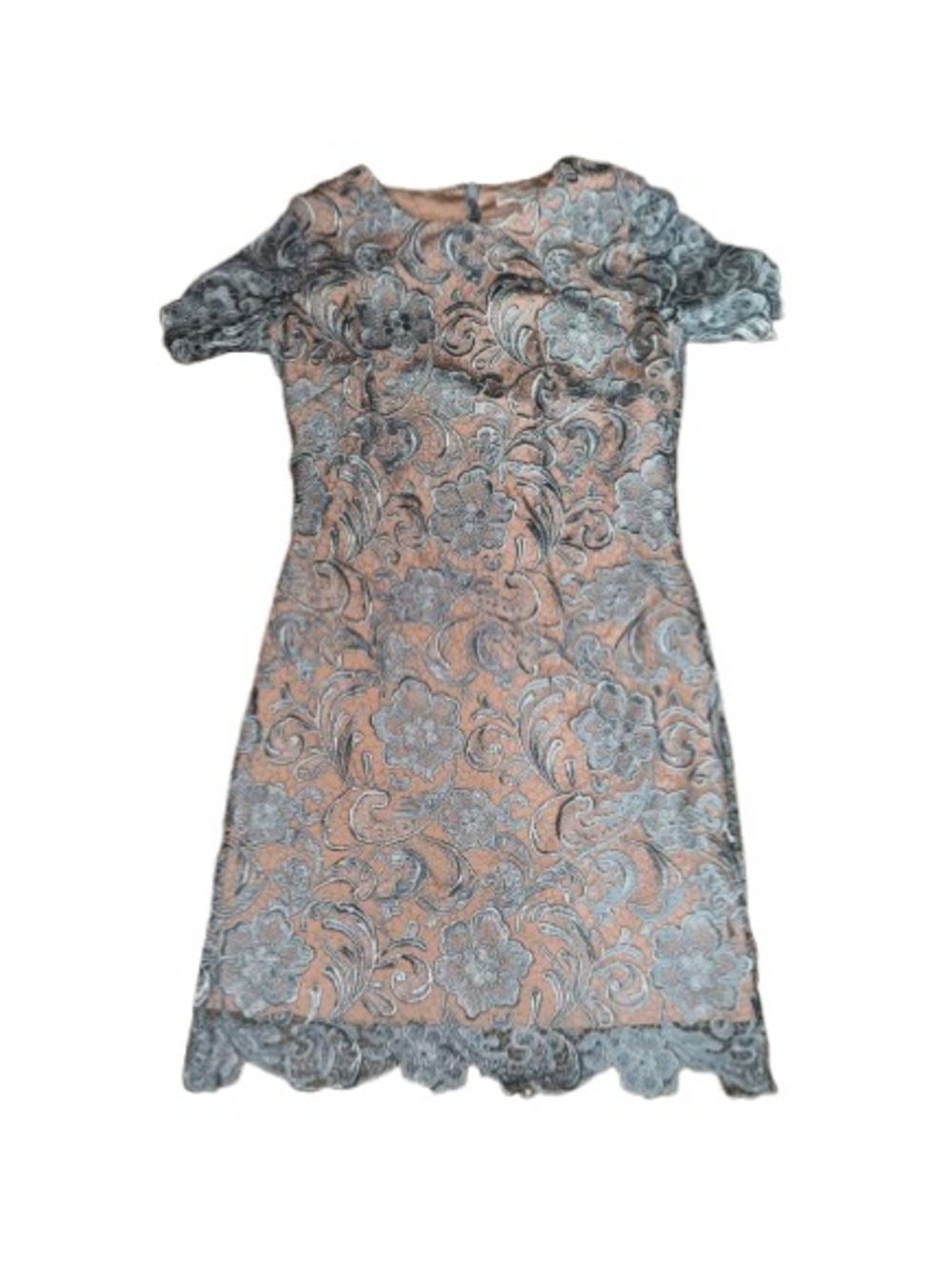Dress the Population Light Blue Lace Mini Dress with Blush Lining - Picture 2 of 5